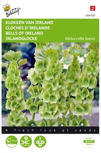Moluccella laevis, Írske zvony  cca 0,75 g